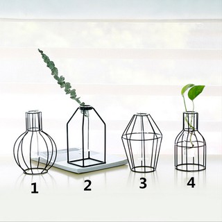 Iron Planter Test Tube Transparent Glass Flower Vase Stand
