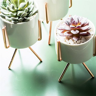 CF| Nordic Style Ceramic Flower Plant Succulent Pot with Metal Rack Stand Garden Display Holder