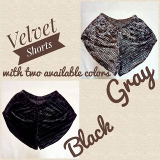 Women's Velvet Plain Short Black/Gray