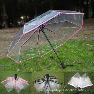 #1078 Manual Transparent umbrella automatic (1)