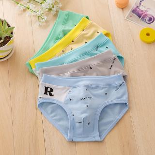 5pcs/lot Boy organic cotton cartoon shorts briefs children's underwear