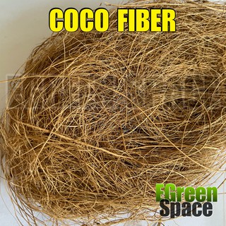 EGreen | COCO FIBER - 100grams Coconut Coir