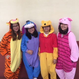 Pooh, Tigger, Eeyore & Piglet Onesie Kigurumi Costume Pajama Premium