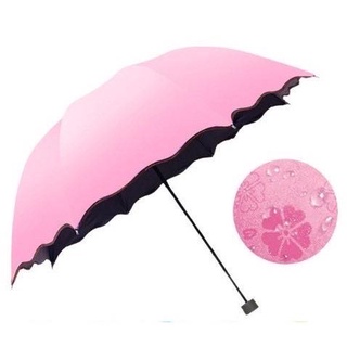Magic Folding Sun / Rain Windproof Flowering Umbrella