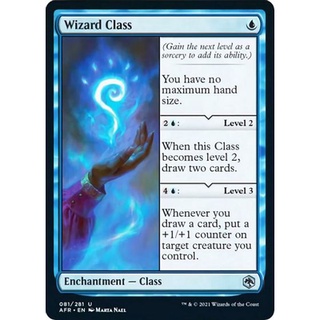 Wizard Class / Adventures in the Forgotten Realms
