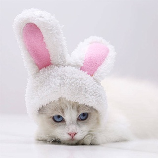 Cat Hat White Dog Rabbit Cute Warm And Comfortable Cotton Velvet Small And Medium Dogs Headgear Supplies Autumn And Winter Adjustable Cat headgear pet cat supplies Cat Hat dog hat pet hat pet accessories