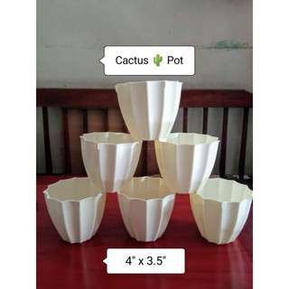 wavy cream white pot for plants cactus and succulents