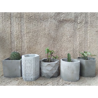 Elegant Planters / Garden Pots for Cactus & Succulents