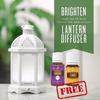 Youngliving Lantern Diffuser - ON HAND‼️With (2) 5ml Lavender oils