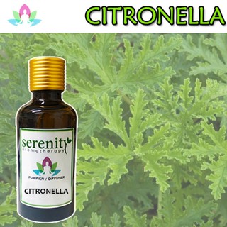 Serenity Aromatherapy Citronella Water Soluble Oil for Air Purifiers and Humidifier Diffusers
