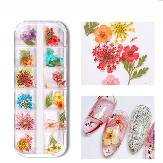 【recommended】Dried Flowers Nail Art Butterfly Glitter Flake 3D Holographic Diy Crafting Nail Decorat