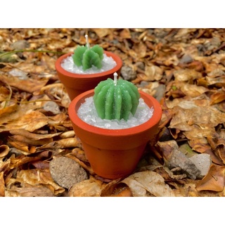Potted cactus candle(home decor,gifts and souvenir)