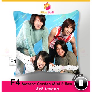 F4 Pillow / 8x8" Mini Pillow / Front and Back Options