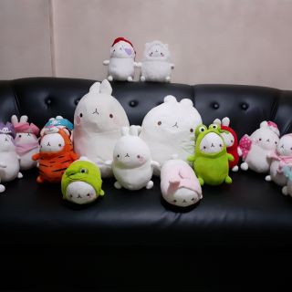 Cute molang preloved plush toy set#1