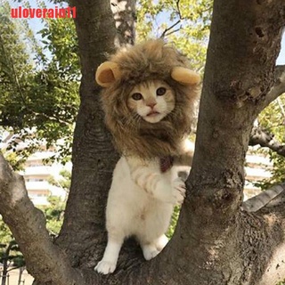 [uloverain11]Pet dog hat costume lion mane wig for cat halloween dress up with ears