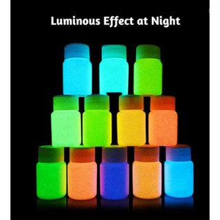 MB 【IN Stock】20g Glow in the Dark Acrylic Luminous Paint Bright Pigment ❥GoBuy