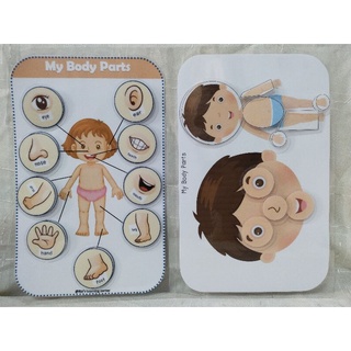 Laminated Activity Sorting Parts of the Body with Velcro