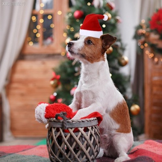ﺴPet Cat Dog Santa Hat Christmas Puppy Kitten Hat Xmas Party Decoration Supplies