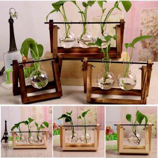 NU 1pc Glass Flower Pot Transparent Plant Terrarium Glass Vase with Wooden Stand for Home Decoration .ph