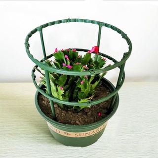 【In stock】Garden Plant Stake Tomato Support Splicing Grafting Gather Flower Stand Green Plastic Anti-lodging Leaf Guard Sturdy Schlumbergera Sunflower Multilayer Double Layer Can Be Spliced