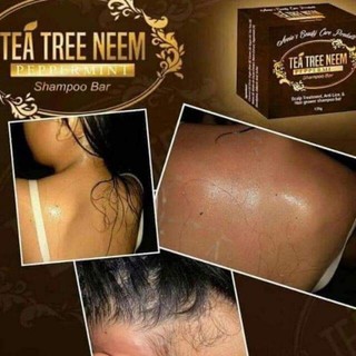 TEE TREE NEEM peppermint Shampoo bar anti kuto anti balakubak hairgrower