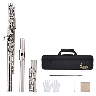 Western Concert Flute Silver Plated 16 Holes C Key Cupronickel Woodwind Instrument with Cleanin