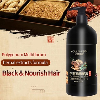 Polygonum multiflorum black hair shampoo (2)