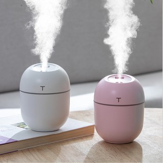 Air Humidifier USB Humidifier Mini Egg Purifier With Led Light 220ML in Home Car