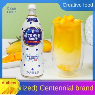 In stock☎⊕Can, will concentrate original Japan lactobacillus yogurt milk drink milk tea shop restaur