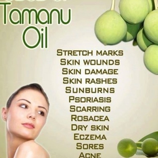 Landon Organics - Tamanu Oil 10 ml / 40 ml (Organic, Cold Pressed, Unrefined) (2)