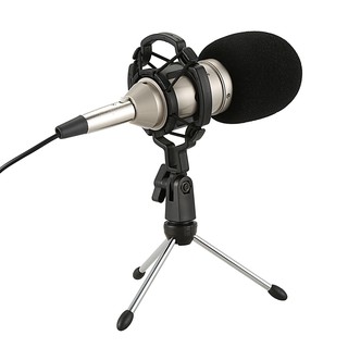 Hzm&C Condenser Bm 800 Usb Wired Microphone with Shock Mount for Radio Singing Recording Kit ZJP (4)