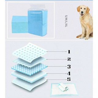 Pet Training Pads Puppy and adult Pad Biodegradable Disposable Training Dog Pee