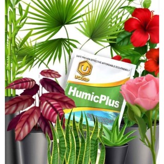 HumicPlus (Soil Conditioner)