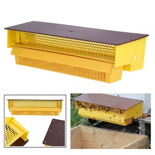 Plastic Bee Pollen Trap Removable Pollen Tray Collector 391410cm Durable