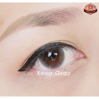 [NO GRADE] Xoxo Series Natural Contact Lenses