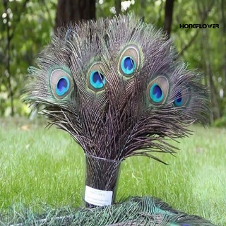 hongflower 10Pcs Peacock Feathers Attractive DIY Creation Natural Peacock Eye Tail Feather for Party (4)