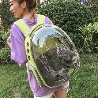 Pet Transparent Space Bag Transparent Dog Bag Pet Carrier