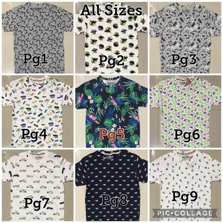 Pull and Bear T-Shirts (All Sizes)