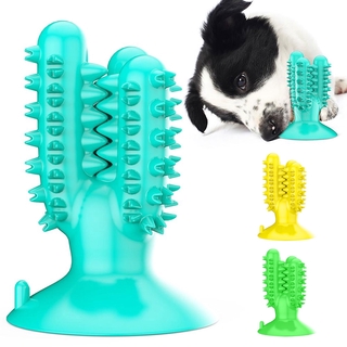 Dental Chew Toys for Dogs Healthy Fresh Puppy Teeth Cleaning Brush Cactus Large Breed Dog Molar Toot