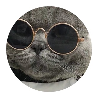 pet EyewearPet Cat Glasses Retro Cool Photo Props Cat Sunglasses Teddy Trendy Unique Glasses Accesso