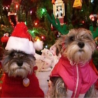 Warm Pet Christmas Hats 1Pc Party Supplies Dog Puppy Red Santa Claus Cap Pet Supplies
