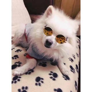 Pet Clothing✌◆✚Pet Dog Cat Pet Shades Pet Sunglasses