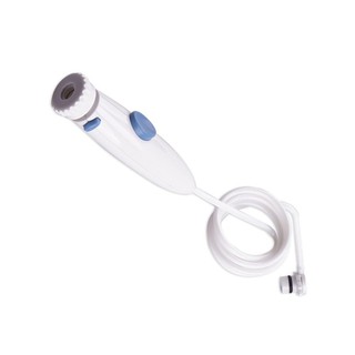 PH BUYEASY Vaclav Water Flosser Dental Water Jet Replacement Wp-100 Only