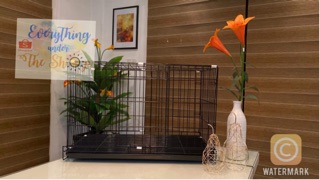 XL (Extra Large) Pet Dog Cat Rabbit Chicken Cage Collapsible 29x17x20 inches LOWEST CHEAPEST PRICE! (2)