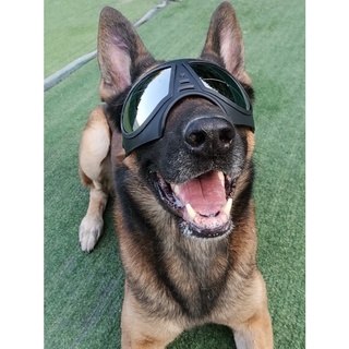 Pet HatsPet Teddy British Shorthair Dog Cat Sunglasses Glasses Helmet New Motorcycle Helmet Accessor