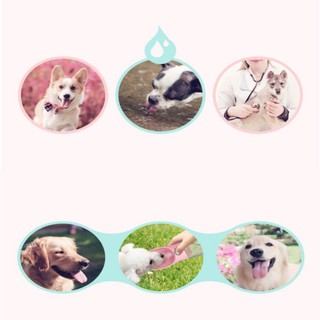 Pet Water Bottle Dog Leakproof Portable Drinking Feeders (3)