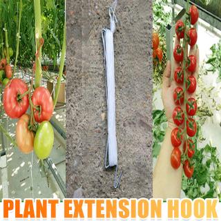 Tomato Hook Tomato Support Clips Vegetable Support Prevent Tomatoe from Pinching