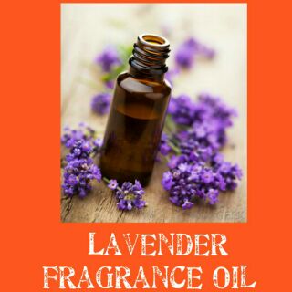 Lavender Fragrance Oil 30ml 100ml
