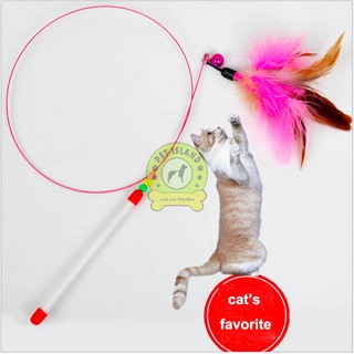 Cat feather teaser toy (1)