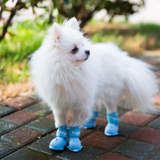 ❐☃Cartoon puppy shoes Pomeranian Bichon Teddy waterproof A set of 4 pet silicone rain boots